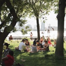 Een groep jongeren houdt een maaltijd in het park.