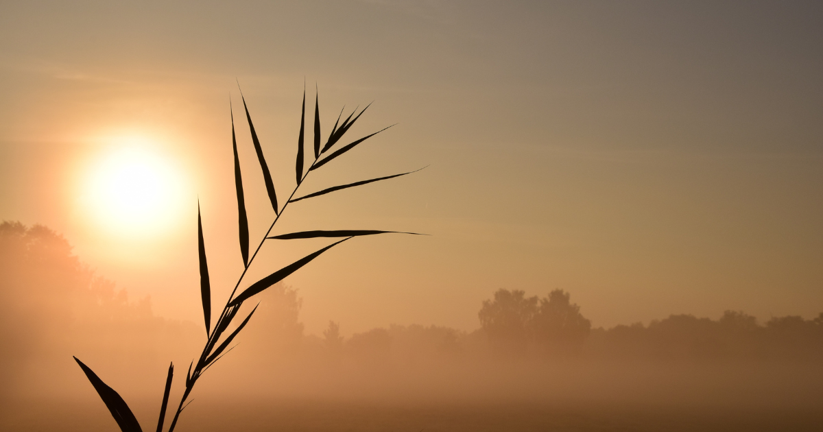 In memoriam: Bob Goudzwaard