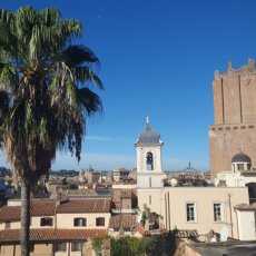 Uitzicht vanuit de universiteit op een palmboom en een aantal gebouwen in Rome.