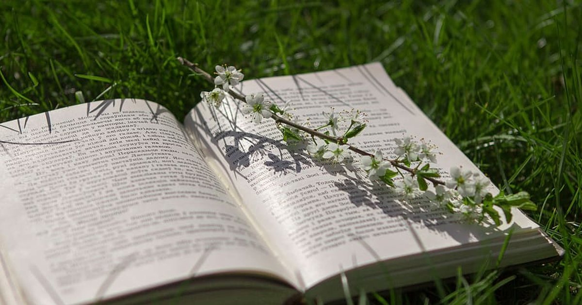 De Bijbel groen van begin tot eind Protestantse De Bijbel groen van begin tot eind Protestantse