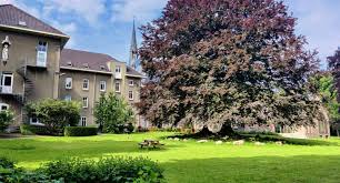 Dominicanenklooster zoekt vrijwilliger voor kloostertuin – Blog Dominicanenklooster Huissen